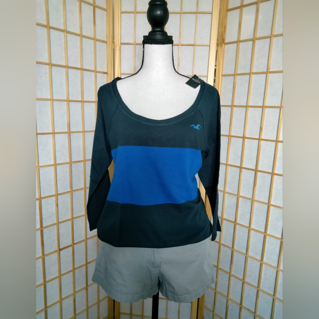 Hollister Large Navy-Royal Blue Striped Crew Tee